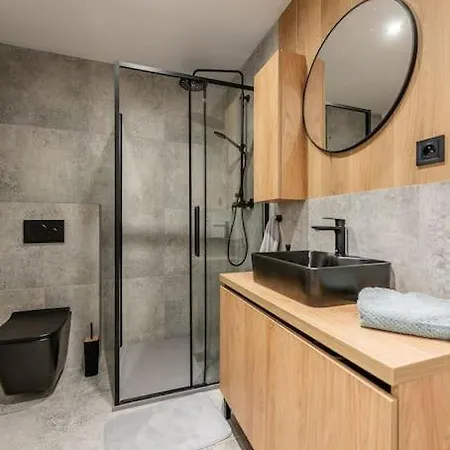 V Centre Timonova Apartment *